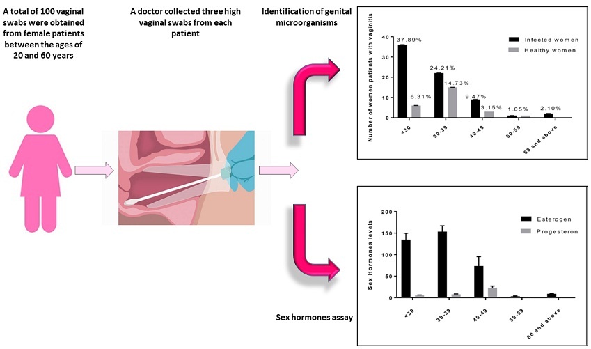 Graphical Abstract